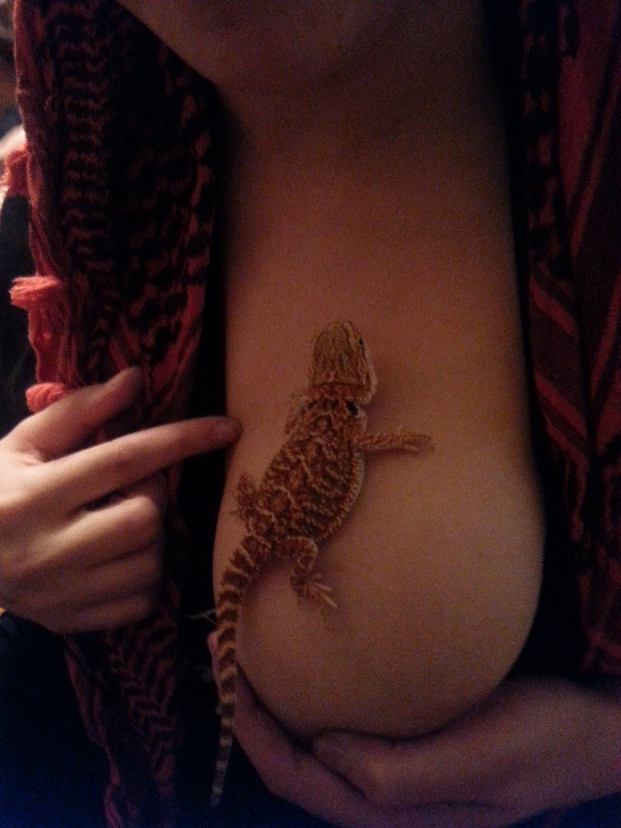 That's a lizard on my boob. Look! A boob! Yay, boobs. 
